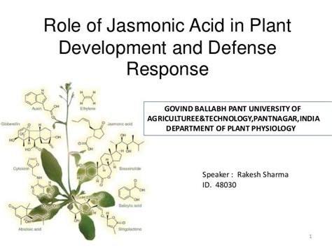  Jasmonic Acid Tillväxtreglerare och Naturliga Biologiska Försvar Medel!